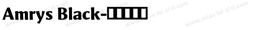 Amrys Black字体转换
